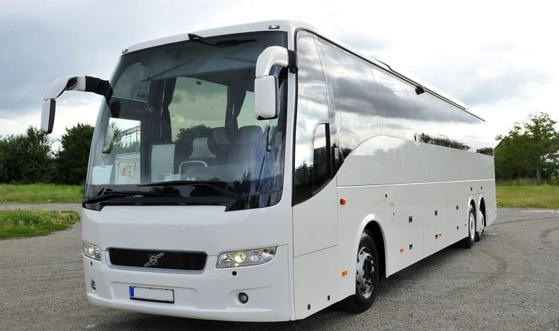 Sweden: Buses agency in Stockholm county in Stockholm county and Stockholm